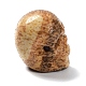 天然ピクチャージャスパービーズ  ハロウィンの頭蓋骨  11~11.5x8.5~9x11~11.5mm  穴：0.9~1mm G-C038-01F-4
