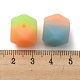 Nbeads 30Pcs 3 Colors Two Tone Luminous Silicone Beads SIL-NB0001-10-3