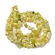 Citron naturel puce de jade brins de perles G-M205-22-3
