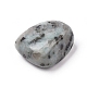 5 pièces perles de jaspe sésame naturel/jaspe kiwi G-FS0001-97-2