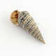 Spiral Shell Home Decorations SSHEL-S001-06-2
