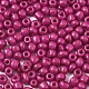 6/0 Glass Seed Beads SEED-S058-A-F451-3
