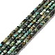 Natural African Turquoise(Jasper) Beads Strands G-D467-A13-1