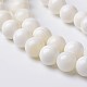 Coquille naturelle brins de perles rondes BSHE-O016-A-03-1