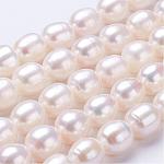 Hebras de perlas de agua dulce cultivadas naturales, oval, color de concha, 10~11x9~10mm, agujero: 0.5 mm, aproximamente 35~37 pcs / cadena, 15.5 pulgada ~ 15.7 pulgadas
