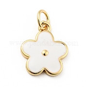 Подвески из латуни с покрытием из эмали KK-G387-09G-01