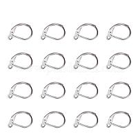 5 Pair Stainless Steel Leverback Earring Hooks, C94 