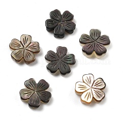 Cuentas talladas de concha negra natural, flor, 11.5~12x12x2.5~3.5mm, agujero: 0.8~0.9 mm