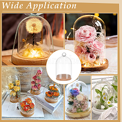 Стеклянный купол&nbsp;AJEW-WH0604-68A