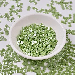 MIYUKIティラビーズ  日本製シードビーズ  2穴  （TL439)不透明なチャート再利用光沢  5x5x1.9mm  穴：0.8mm  約118PCS /ボトル  10 G /ボトル&nbsp;SEED-JP0008-TL0439
