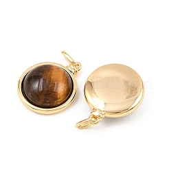 Природных тигровый глаз подвески&nbsp;KK-H538-22A-G