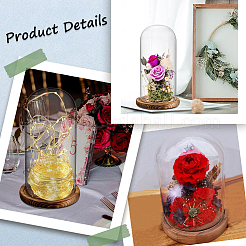 Стеклянный купол&nbsp;AJEW-SC0001-61B