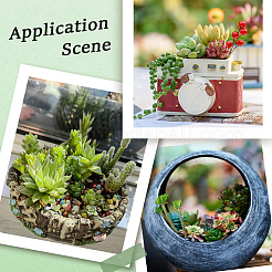 Pianta succulenta artificiale in pvc&nbsp;AJEW-SP0004-35A