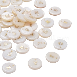 Природные подвески оболочки пресноводных&nbsp;SSHEL-CJ0001-07