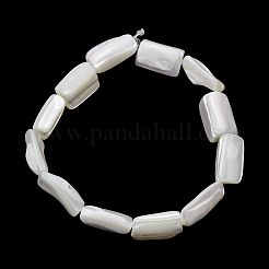 Natürliche Trochidschale / Trochusschalenperlenstränge&nbsp;SH-CBA2978-20A