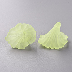Transparente Acryl Perlen&nbsp;BSF796-C17
