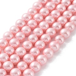 Shell-Perle Perle Stränge&nbsp;X-BSHE-L025-06-8mm