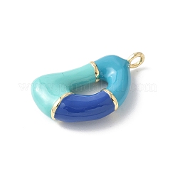 Pendentifs d'émail en laiton &nbsp;KK-E093-03G-D-01