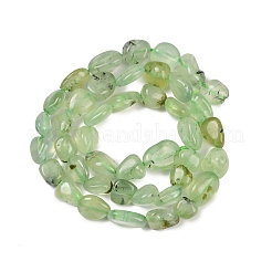Chapelets de perles en préhnite naturelle&nbsp;G-R445-8x10-25-01
