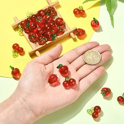 30шт 3 стиля прозрачные акриловые подвески TACR-CJ0001-61