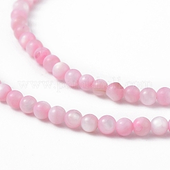 125шт натуральные пресноводные бусины из ракушек SHEL-B002-01B