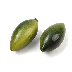 Cuentas de resina opaca de la serie Fruit&nbsp;RE-CBAC4C7-11F