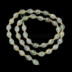 Природные пренит нитей бисера G-F809-A06-01