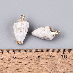 電気メッキ天然貝ペンダント  貝殻の形のチャーム  真鍮のループ付き  ゴールドカラー  貝殻色  19~25x10~14x9~13mm  穴：1.2~1.8mm&nbsp;BSHE-Q020-07
