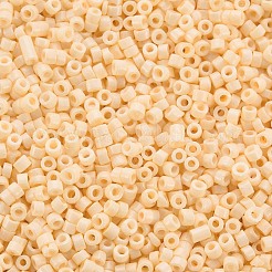 GlasZylinderförmigperlen&nbsp;SEED-S047-A-021