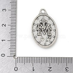 Aluminium Anhänger & Charms&nbsp;FIND-E051-01AS-05