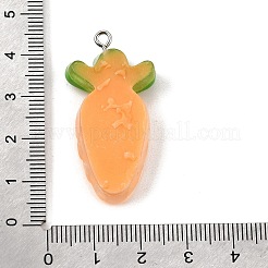 Anhänger aus transparentem Kunstharz in Form von Obst und Gemüse&nbsp;RE-CBAB567-01