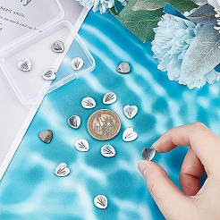 16 шт. 2 стиля натуральных черных подвесок-ракушек для губ&nbsp;SHEL-BC0001-021