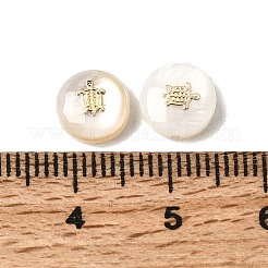 Натуральные пресноводные раковины&nbsp;SHEL-C009-01A