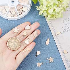 Подвески из нержавеющей стали 304 STAS-AR0001-07RG