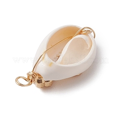 Подвески из натуральной ракушки с медной проволокой PALLOY-JF03113