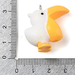 Подвески из непрозрачной смолы&nbsp;RESI-S399-01