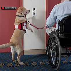 Мини-самоклеящиеся наклейки с автоматическим дверным предупреждающим покрытием из ПВХ STIC-WH0017-009