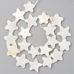 天然淡水シェルビーズ連売り  スター  貝殻色  18~20x17~19x2~3mm  穴：0.8mm  約20個/連  14.17インチ（36cm）&nbsp;SHEL-S276-85