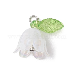 5шт прозрачные акриловые подвески&nbsp;PALLOY-JF04703-02