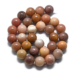 Естественный окаменелого дерева круглые бусины пряди G-D356-C01-10mm