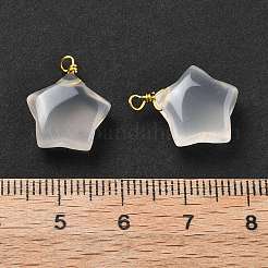 Подвески в форме звезды из натурального агата&nbsp;G-U025-03G