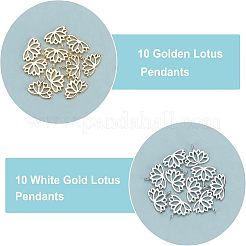 20шт 2 цвета латунные подвески&nbsp;KK-FH0002-18