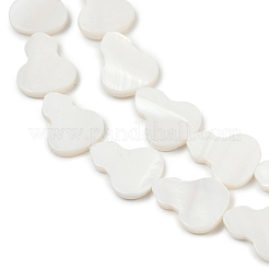 Нити бусин из натуральных пресноводных ракушек SHEL-K010-02C