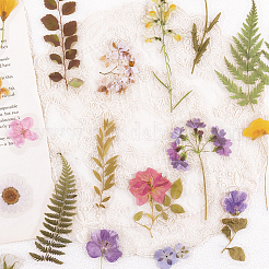 6 сумка 6 стиля водонепроницаемые самоклеящиеся наклейки для животных набор&nbsp;DIY-SP0005-23