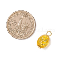 Прозрачные акриловые подвески&nbsp;PALLOY-JF04346