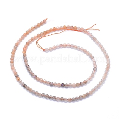 Нити из натуральных бусин из нескольких лунных камней G-I279-E13-01