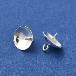 925 кулон поручитель из чистого серебра&nbsp;STER-E050-08S-A