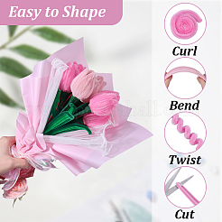 DIY Chenille-Stiel-Lametta-Girlanden-Bastelsets&nbsp;DIY-SC0033-14A