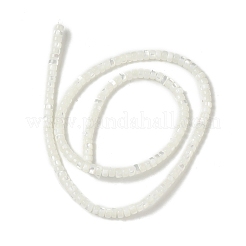 Бусины из натуральных трохоидных/трохус ракушек BSHE-B005-12