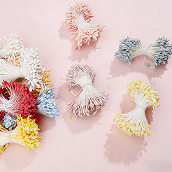 11 paquet de gypse bicolore avec cordon en coton pour le cœur de la fleur artificielle&nbsp;DIY-GF0014-55